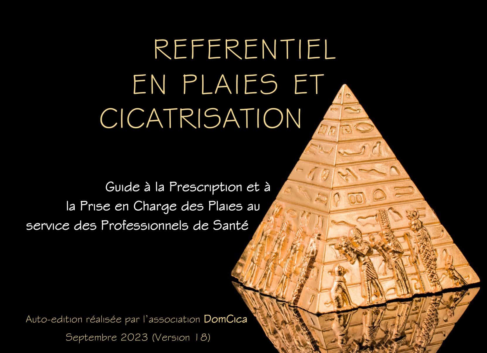 REFERENTIEL EN PLAIES ET CICATRISATION FD V1